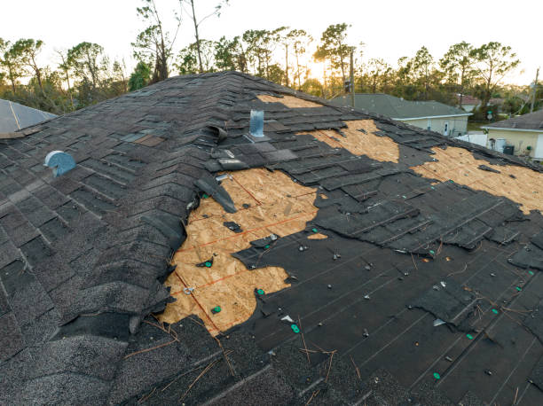 Best Metal Roofing Installation  in Lisbon, IA