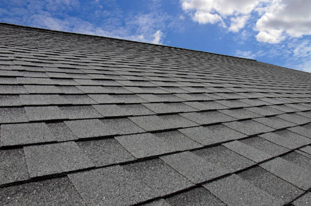 Best Roof Insulation Installation  in Lisbon, IA