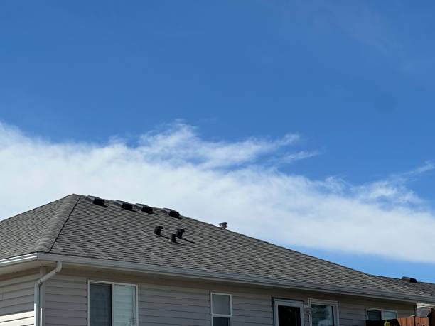Best Asphalt Shingles Roofing  in Lisbon, IA